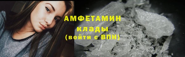 гидра Богородицк