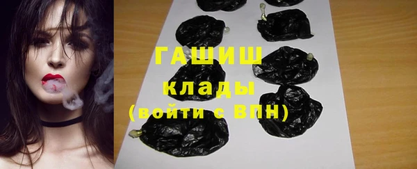 гидра Богородицк