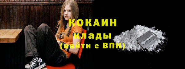 прущий лед Богородск