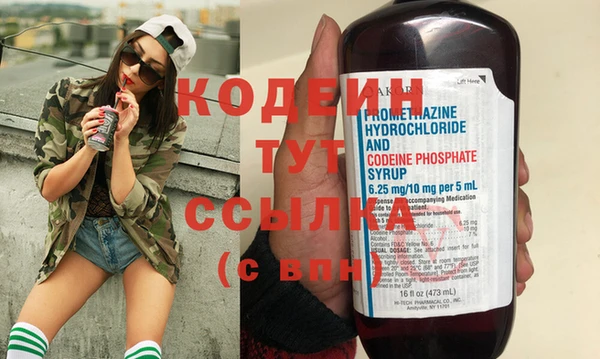 гидра Богородицк