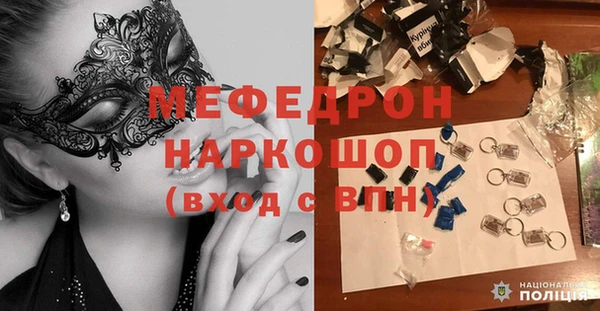 гидра Богородицк