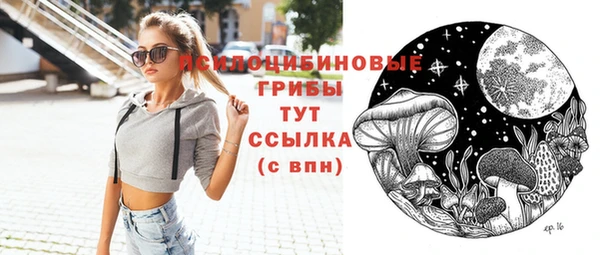 гидра Богородицк