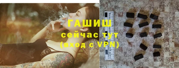 гидра Богородицк