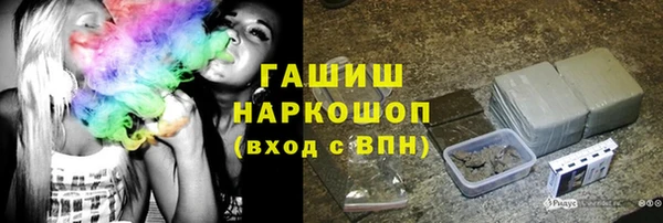гидра Богородицк