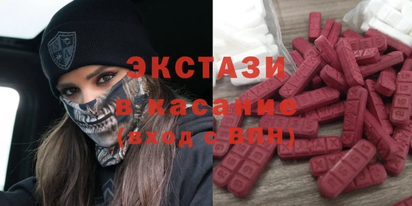 гидра Богородицк