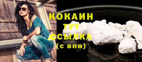 гидра Богородицк