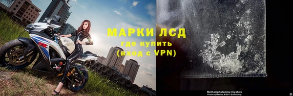 гидра Богородицк